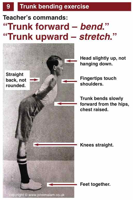 Drill - Trunk bending